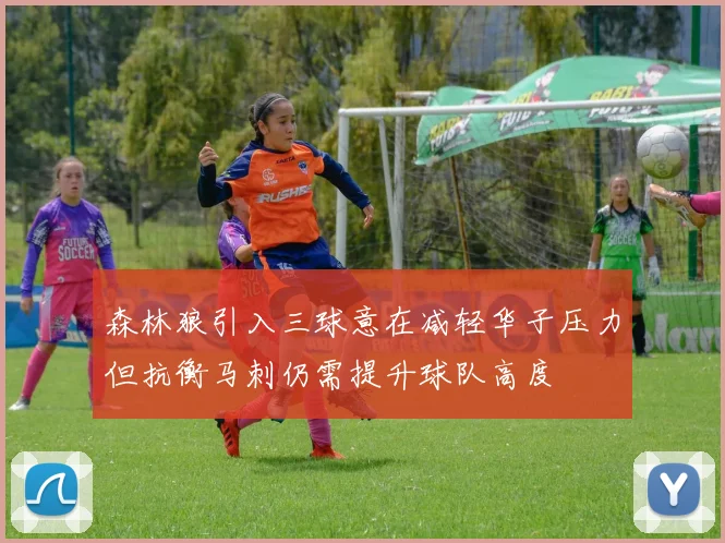 森林狼引入三球意在减轻华子压力但抗衡马刺仍需提升球队高度